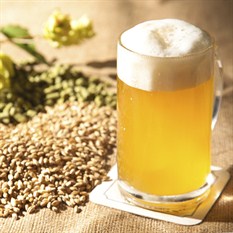 beer_6x6cm_300dpi_233x233