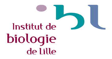 logo-ibl