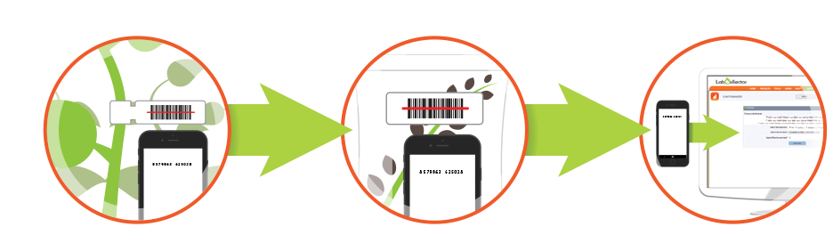 Labcollector Plant manager barcodes