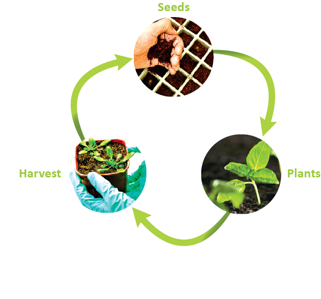 Labcollector Plant manager diagram